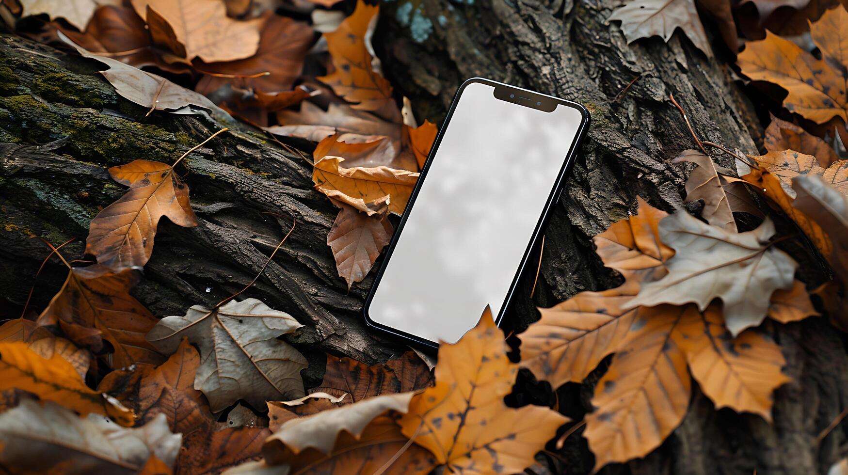 Tranquility in Nature - Smartphone Mockup on Tree Log Amidst Fallen Leaves in Woodland photo