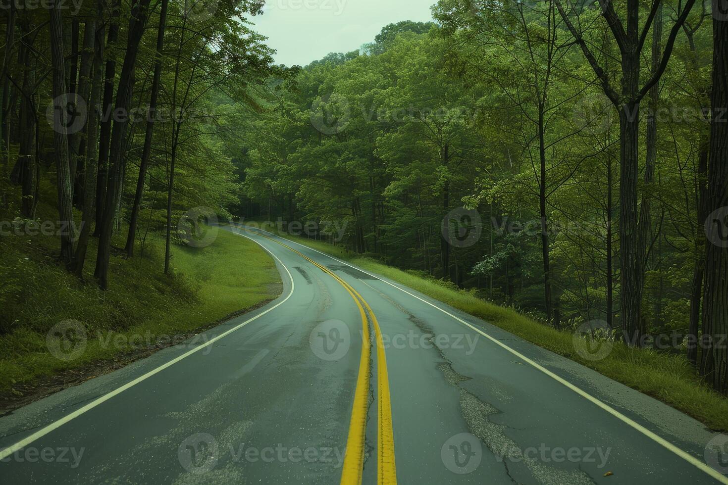 Endless road of travel on rural highways There are natural trees on both sides of the road. photo