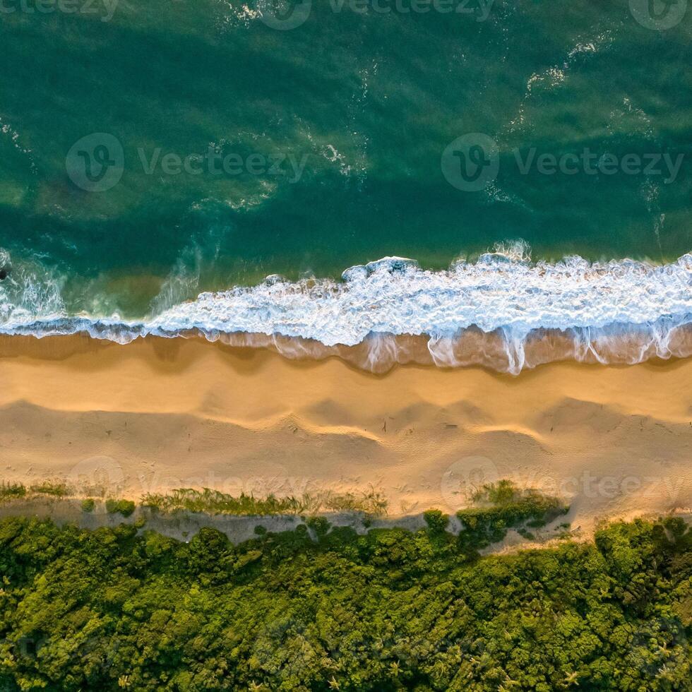 Balneario Camboriu in Santa Catarina. Taquaras Beach and Laranjeiras Beach in Balneario Camboriu. Aerial view in landscape. Square image photo