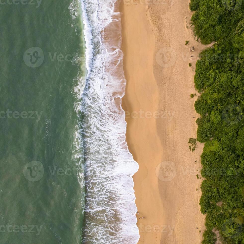 Balneario Camboriu in Santa Catarina. Taquaras Beach and Laranjeiras Beach in Balneario Camboriu. Aerial view in landscape. Square image photo