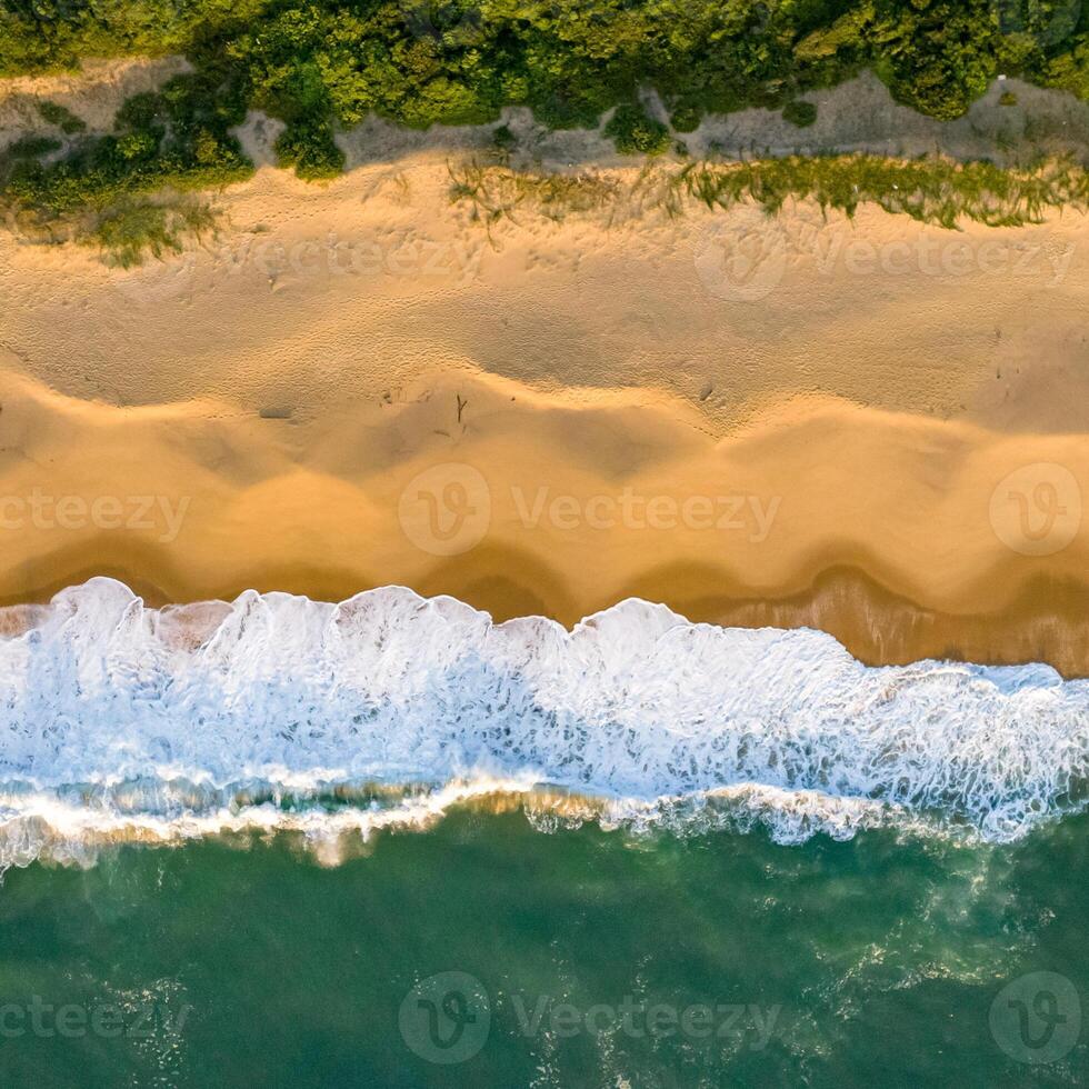 Balneario Camboriu in Santa Catarina. Taquaras Beach and Laranjeiras Beach in Balneario Camboriu. Aerial view in landscape. Square image photo