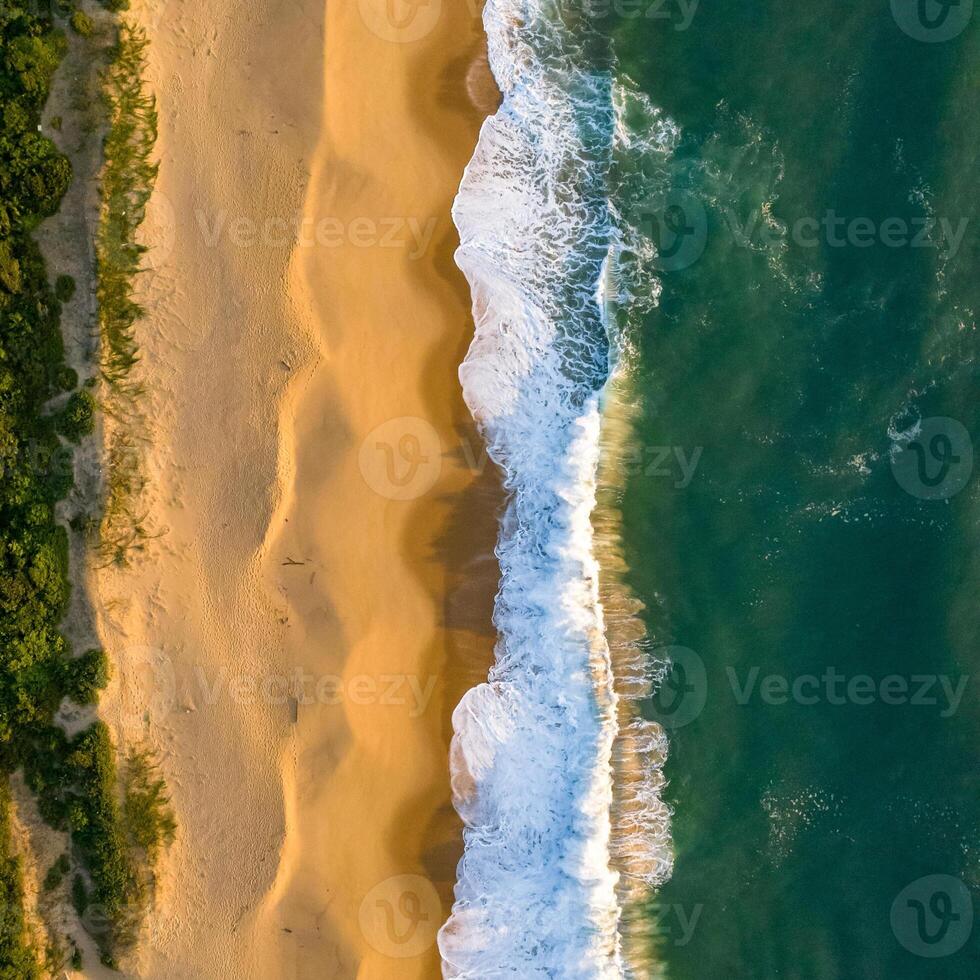 Balneario Camboriu in Santa Catarina. Taquaras Beach and Laranjeiras Beach in Balneario Camboriu. Aerial view in landscape. Square image photo