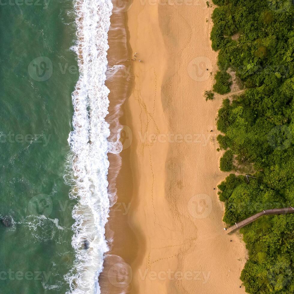 Balneario Camboriu in Santa Catarina. Taquaras Beach and Laranjeiras Beach in Balneario Camboriu. Aerial view in landscape. Square image photo