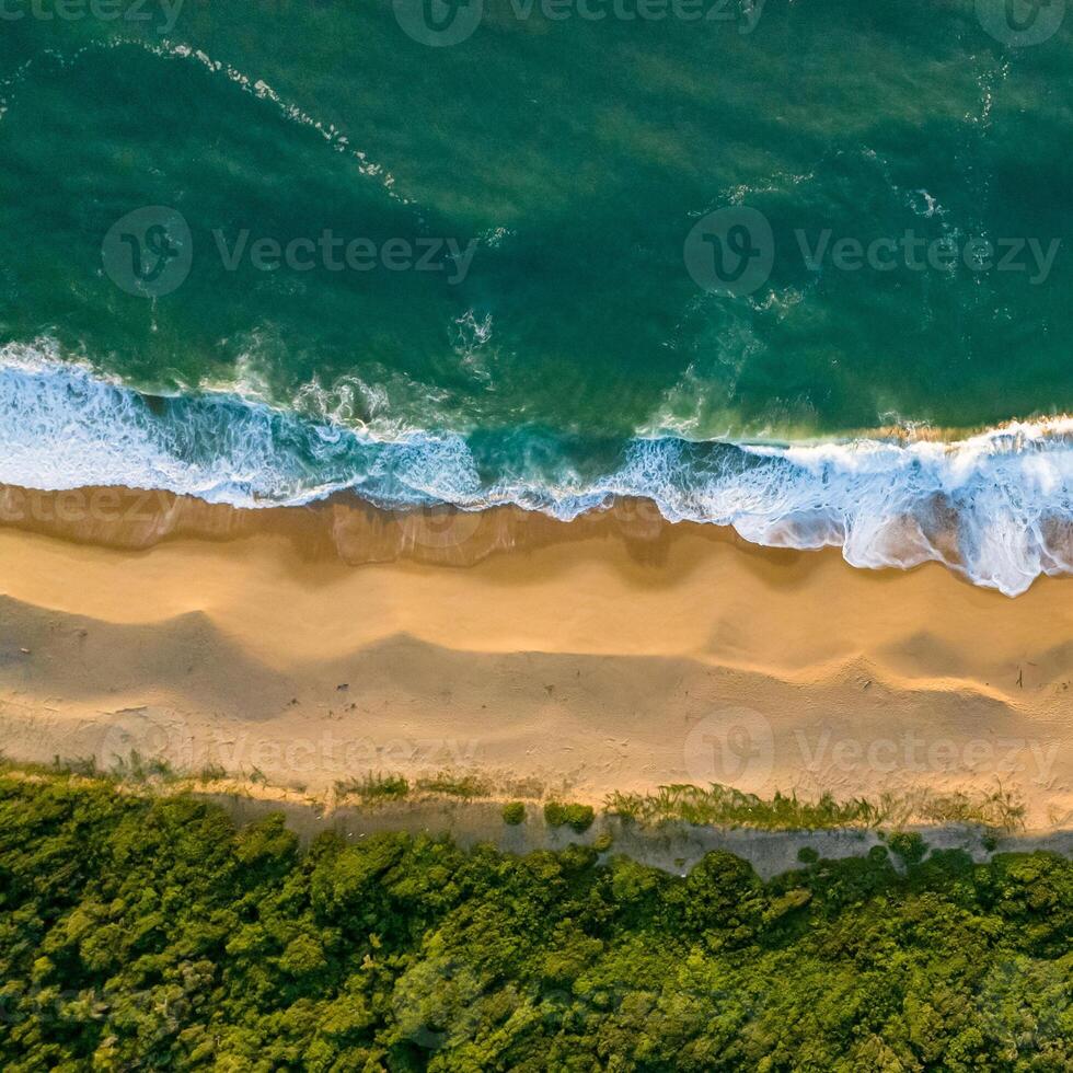 Balneario Camboriu in Santa Catarina. Taquaras Beach and Laranjeiras Beach in Balneario Camboriu. Aerial view in landscape. Square image photo