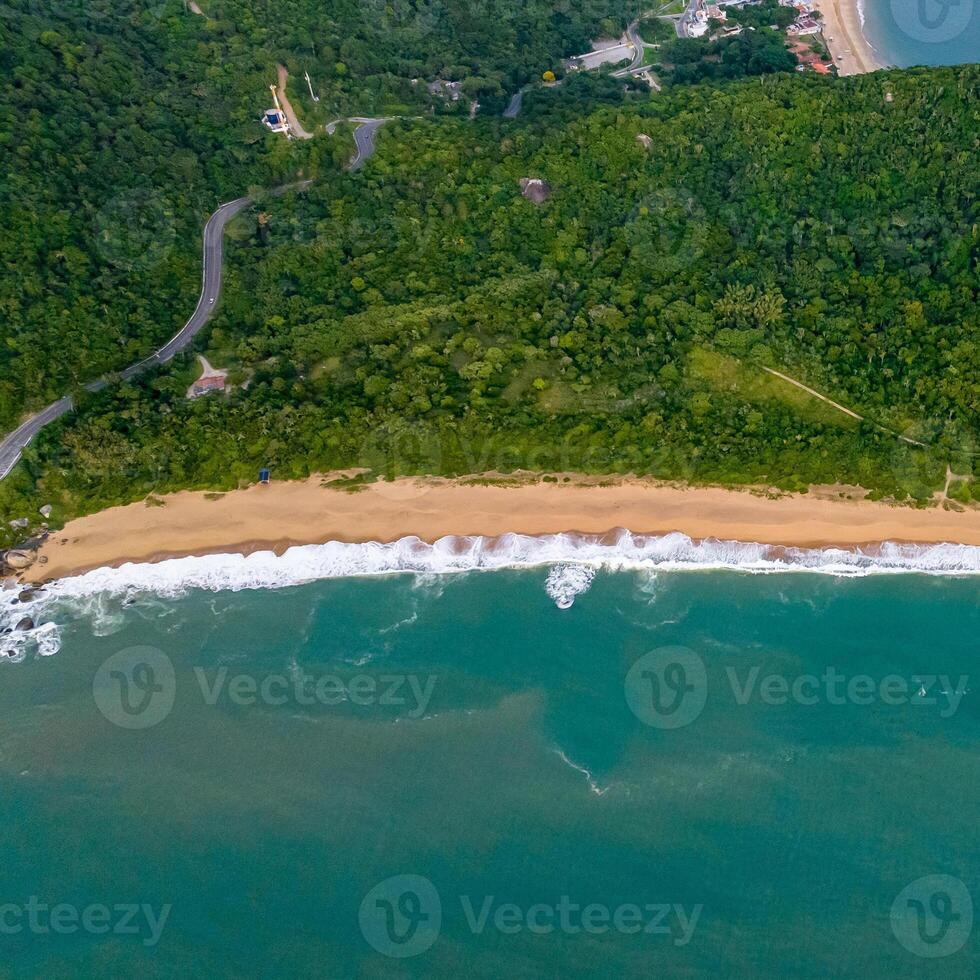 Balneario Camboriu in Santa Catarina. Taquaras Beach and Laranjeiras Beach in Balneario Camboriu. Aerial view in landscape. Square image photo