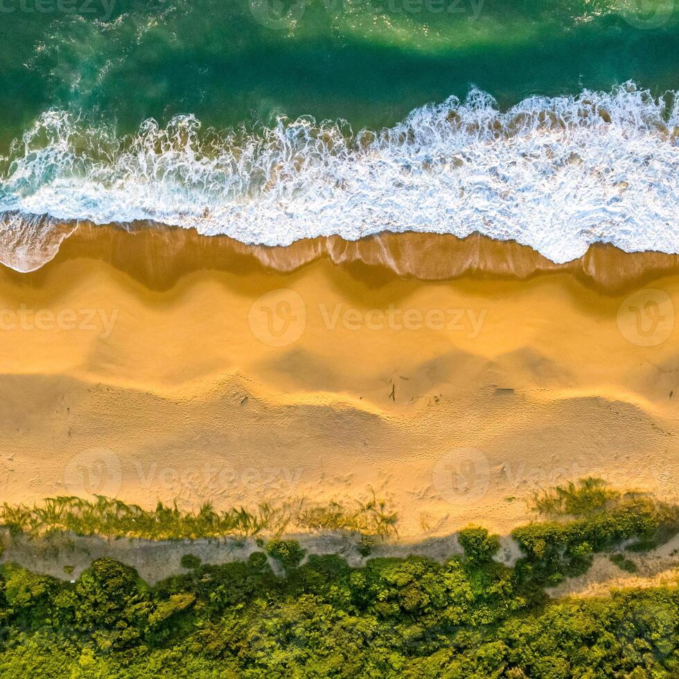 Balneario Camboriu in Santa Catarina. Taquaras Beach and Laranjeiras Beach in Balneario Camboriu. Aerial view in landscape. Square image photo