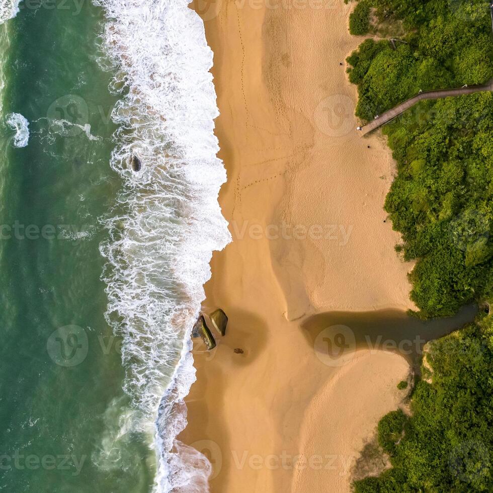 Balneario Camboriu in Santa Catarina. Taquaras Beach and Laranjeiras Beach in Balneario Camboriu. Aerial view in landscape. Square image photo