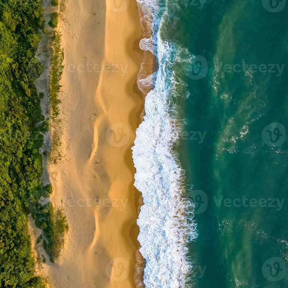 Balneario Camboriu in Santa Catarina. Taquaras Beach and Laranjeiras Beach in Balneario Camboriu. Aerial view in landscape. Square image photo