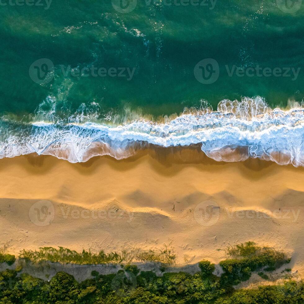 Balneario Camboriu in Santa Catarina. Taquaras Beach and Laranjeiras Beach in Balneario Camboriu. Aerial view in landscape. Square image photo