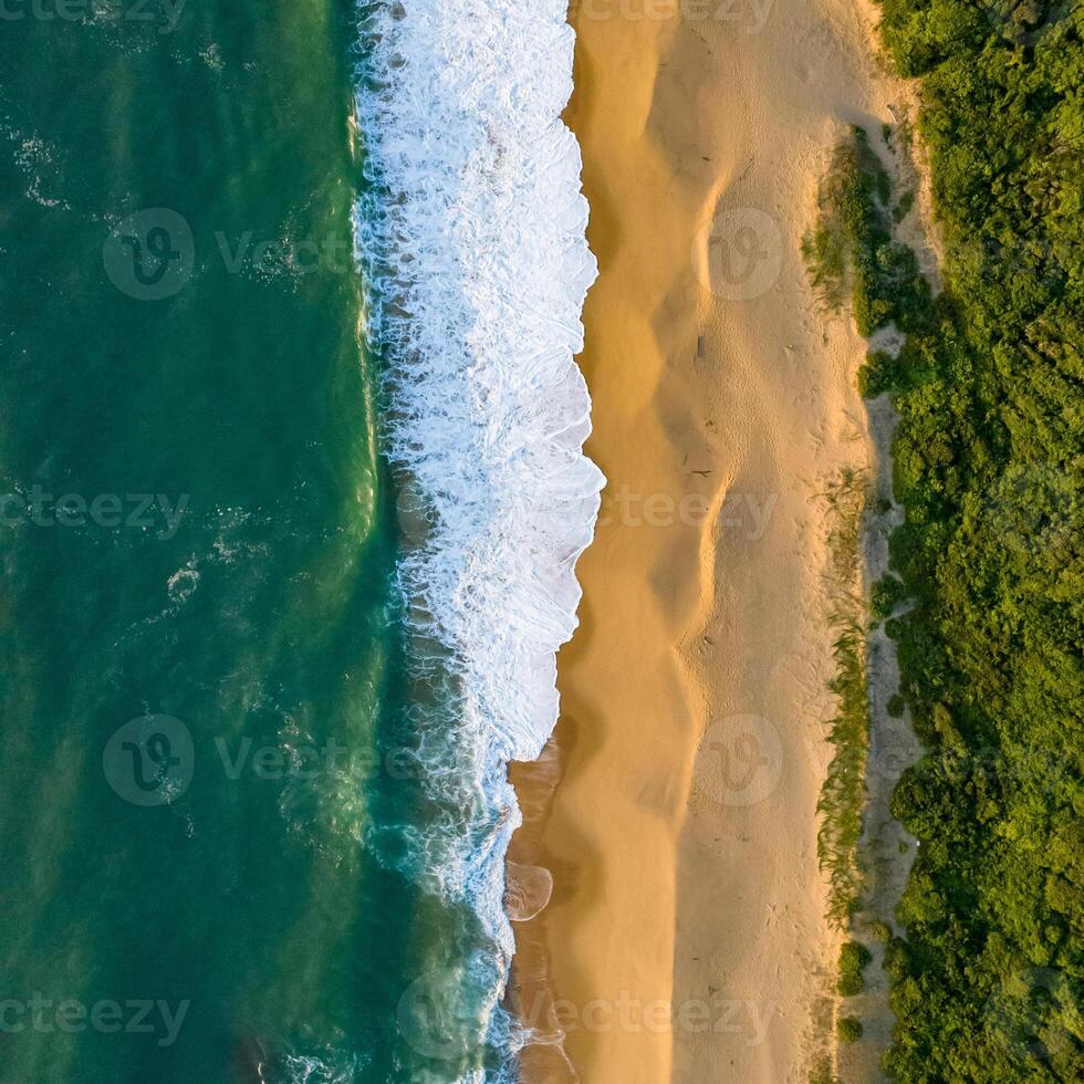 Balneario Camboriu in Santa Catarina. Taquaras Beach and Laranjeiras Beach in Balneario Camboriu. Aerial view in landscape. Square image photo