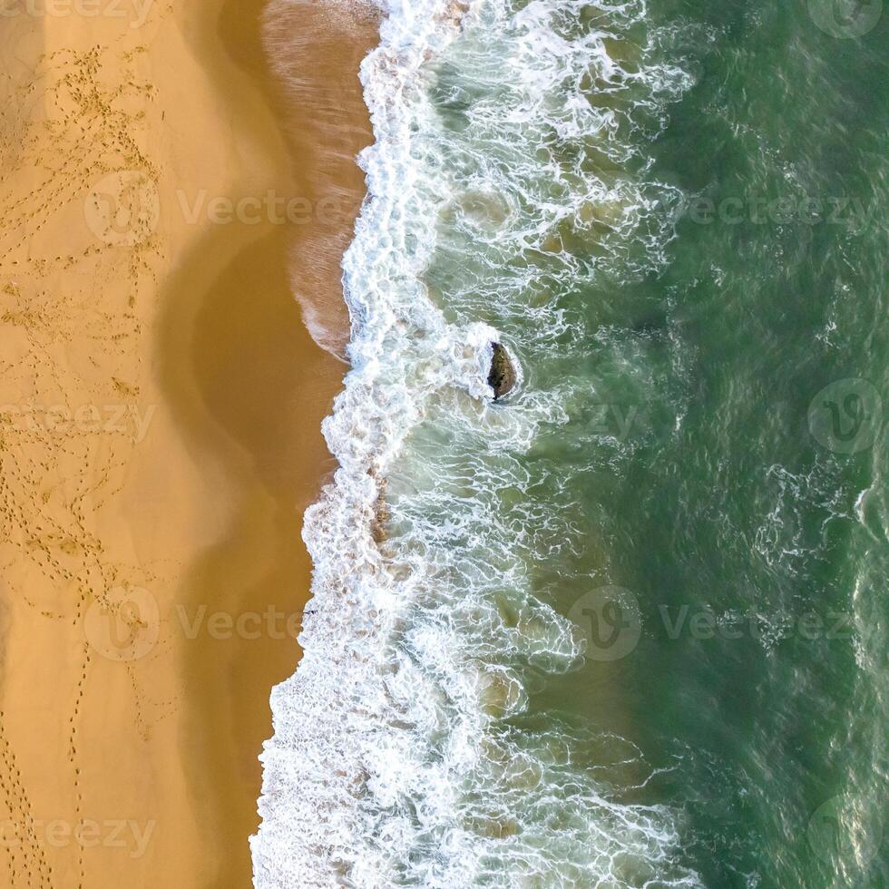 Balneario Camboriu in Santa Catarina. Taquaras Beach and Laranjeiras Beach in Balneario Camboriu. Aerial view in landscape. Square image photo
