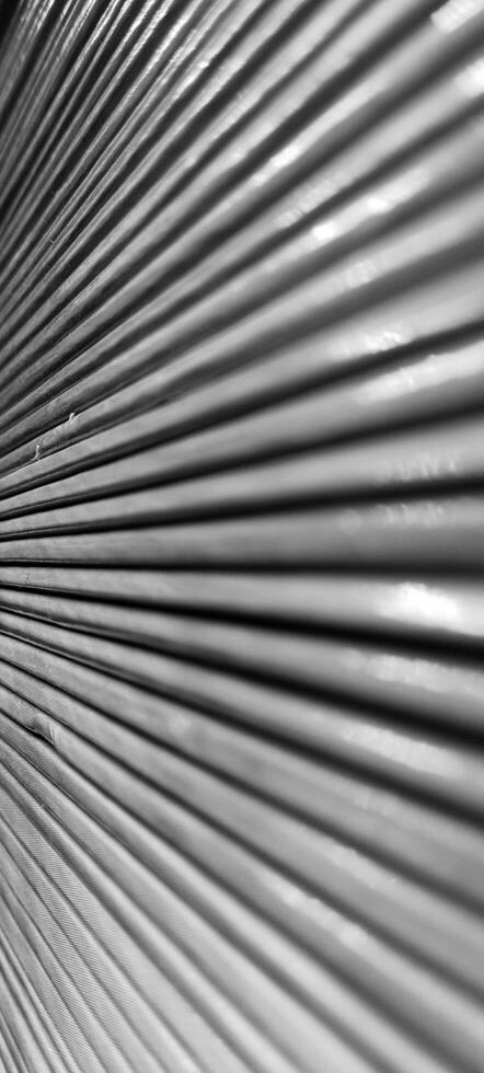 Beautiful black and white view of books stacked in a row. photo
