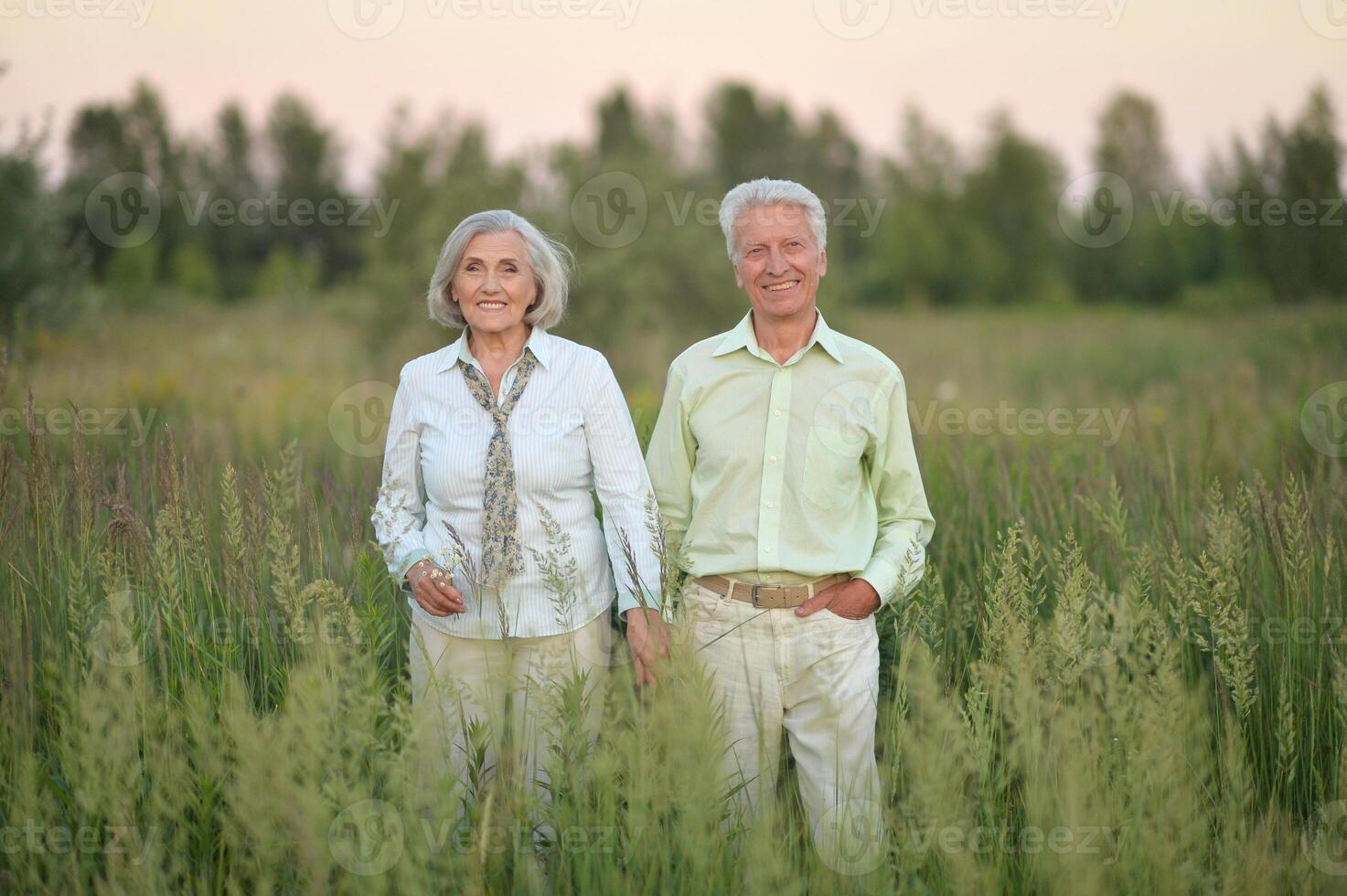 Beautiful senior couple relaxing and posing in the summer park photo