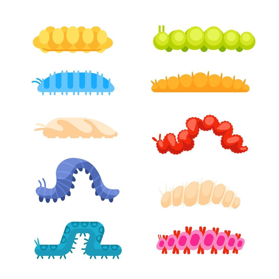 Set of colorful caterpillars crawling and smiling cartoon bug character design flat illustration vector