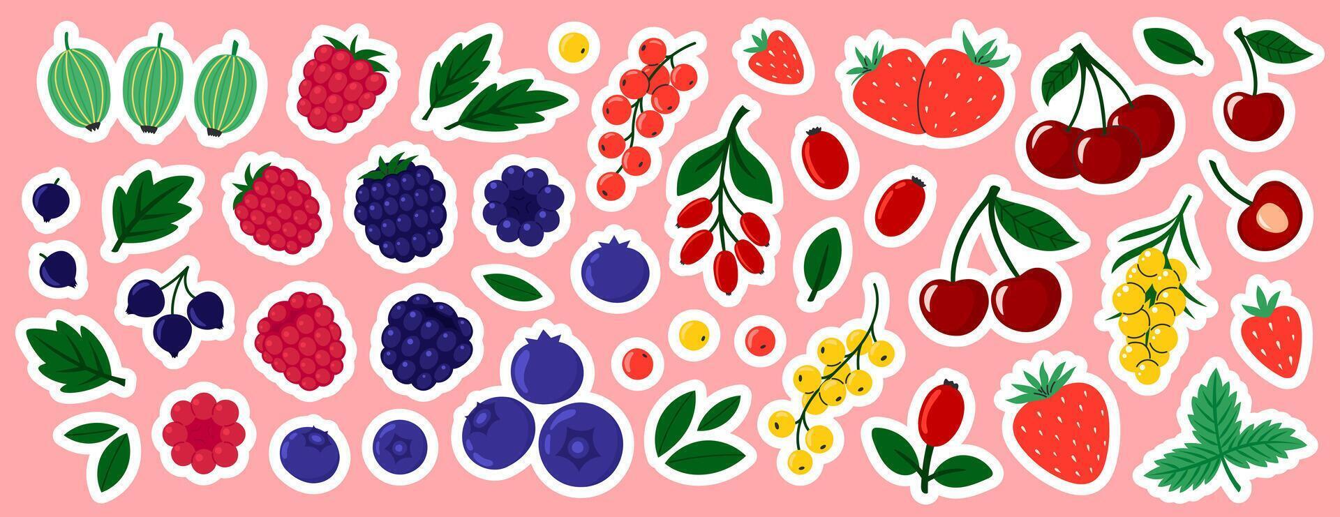 Berries stickers set. Cherry, black currant, raspberry, gooseberry, blueberry, blackberry, strawberry, barberry, sea buckthorn. Fresh summer juicy berry. Flat illustration isolated vector