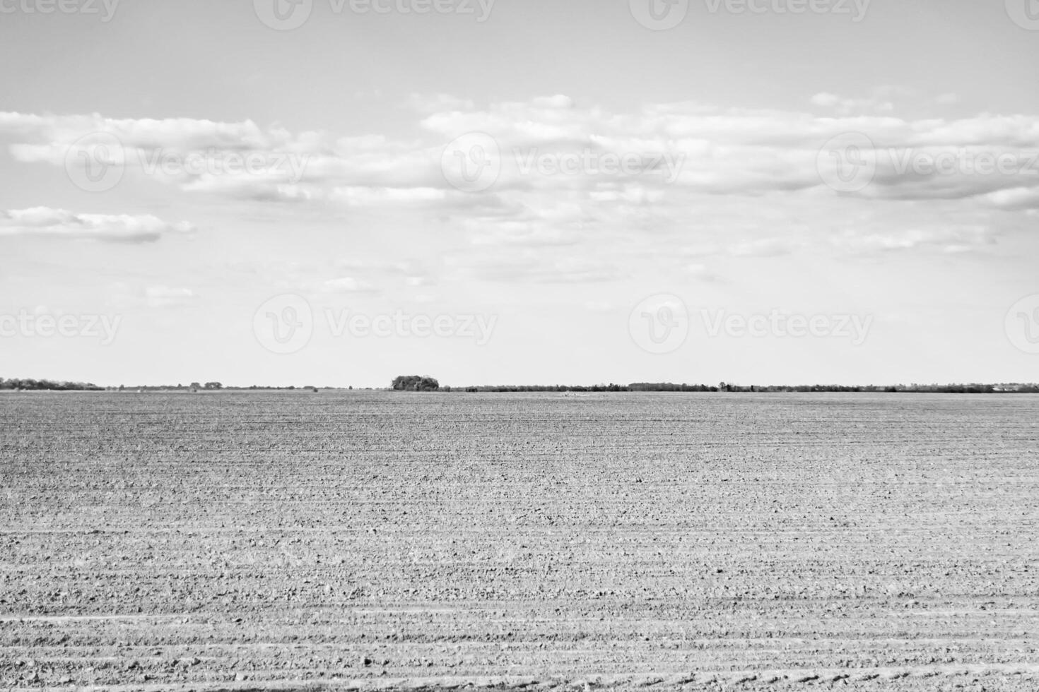 Photography on theme big empty farm field for organic harvest photo