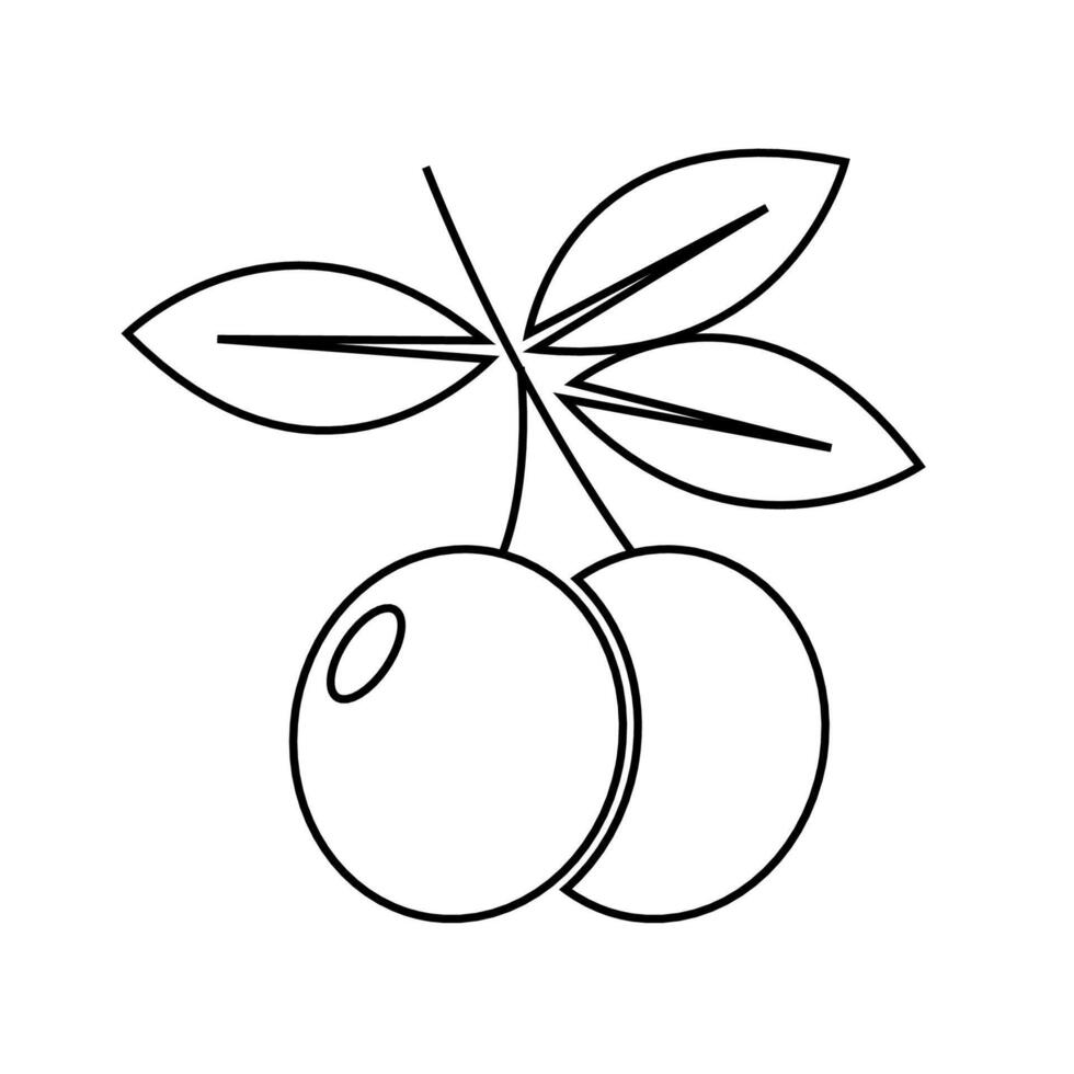 olives outline icon vector