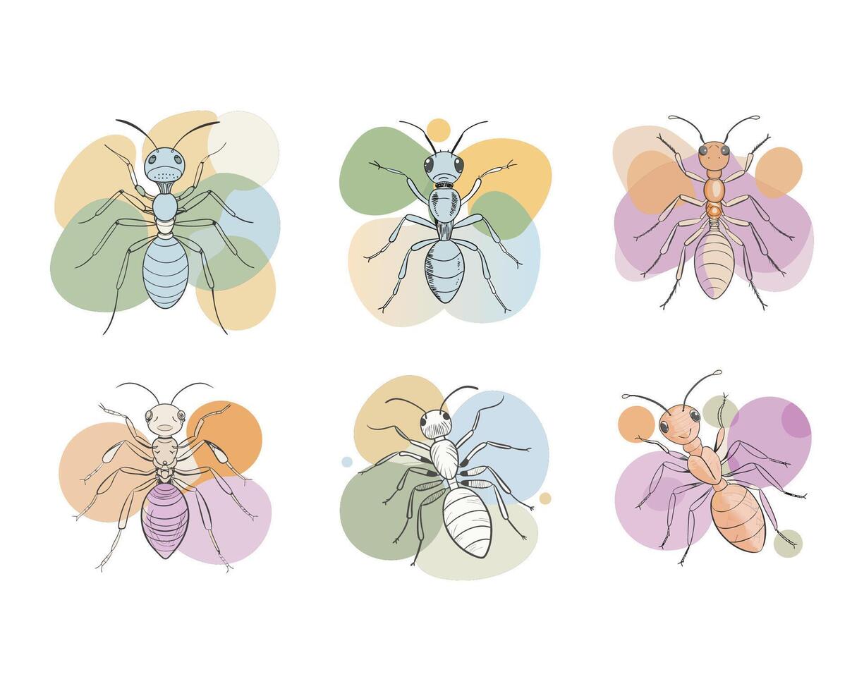 drawings of colorful ant. ai vector