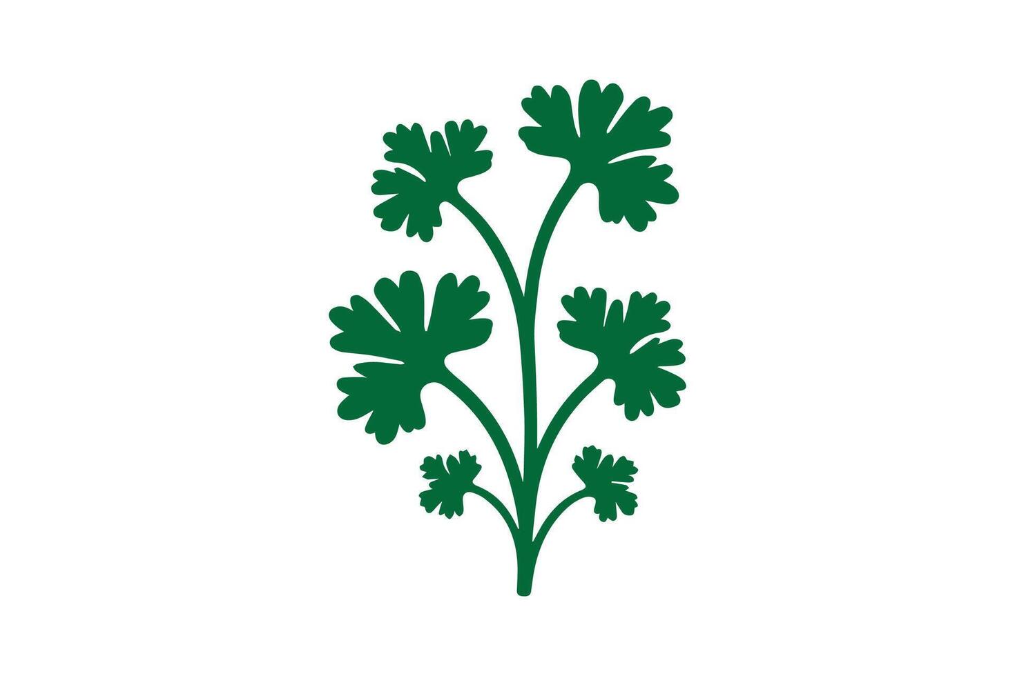 A green plant with leaves on it vector