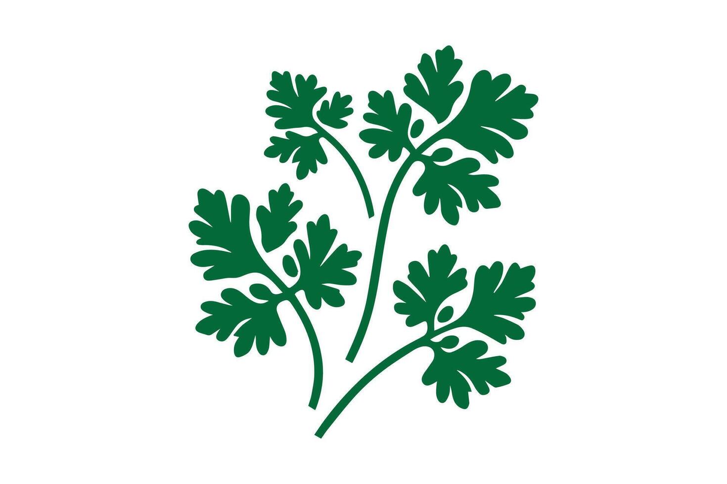 A green leafy plant with leaves on it vector