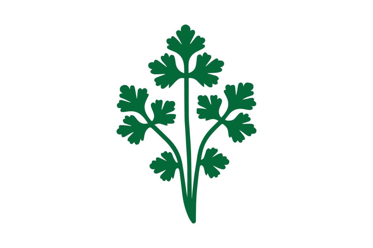 A green plant with leaves on it vector