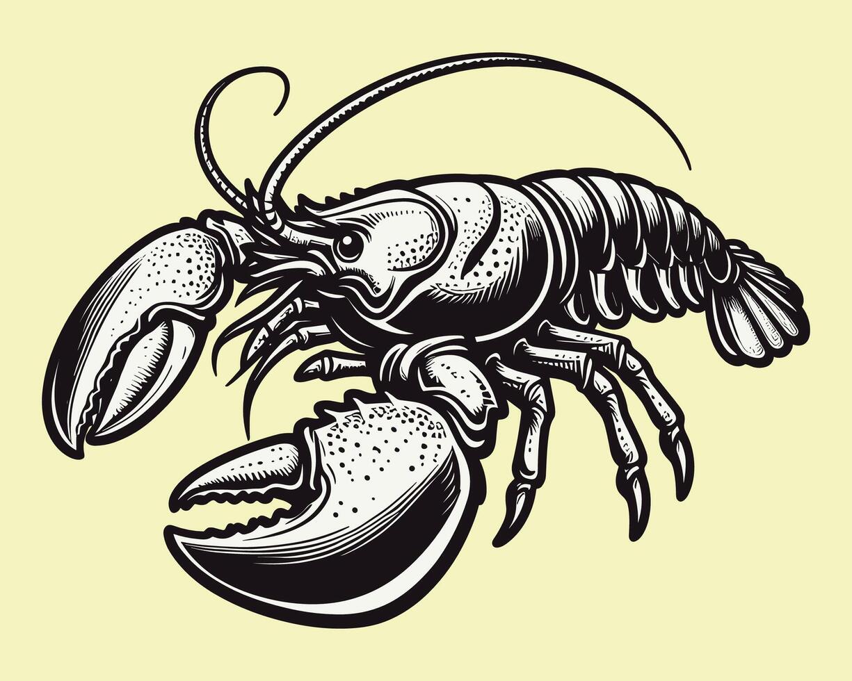 Vintage Detailed Black and White Lobster Monochrome Illustration Design vector