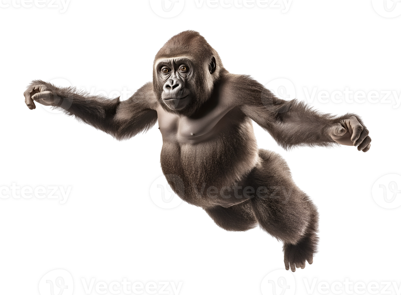 photo of a gorilla floating mid-air on isolated background png