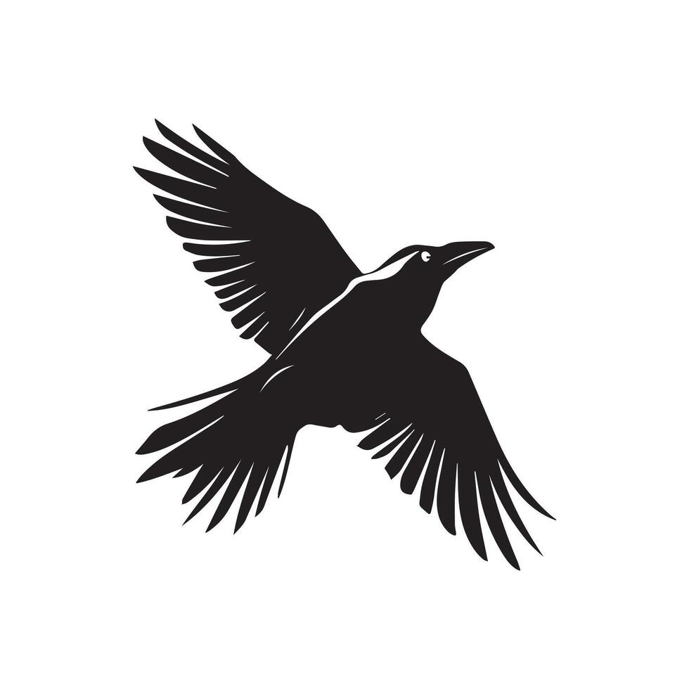 Silhouette crow bird fly black color only full body vector