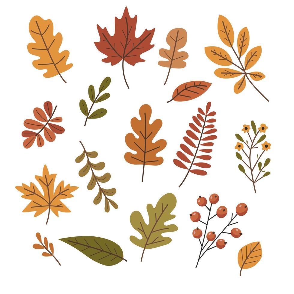 Collection of stylized autumn leaves of different shapes and sizes. vector