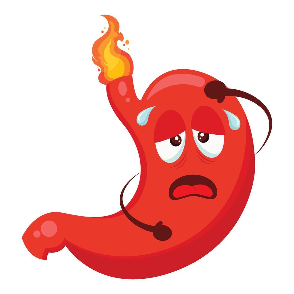 Stomach with a burning acid bile illustration in cartoon style icon vector