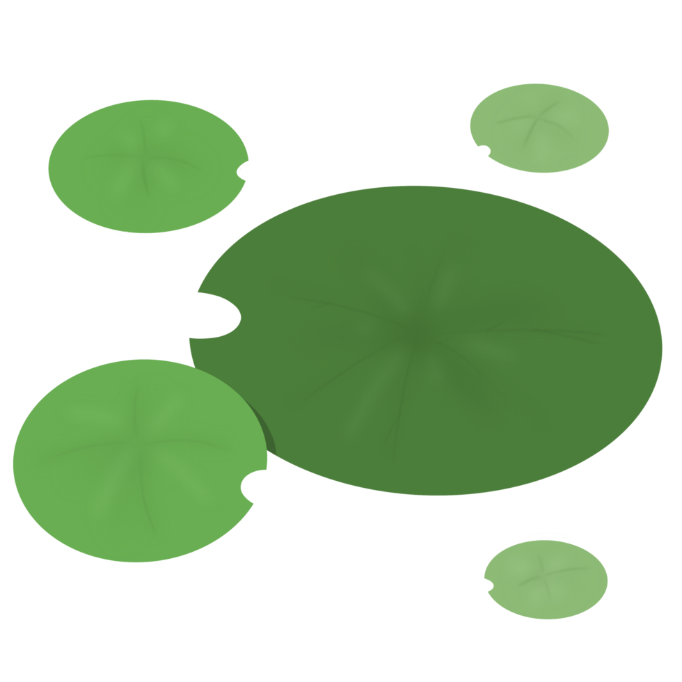 green leaves of lotus png