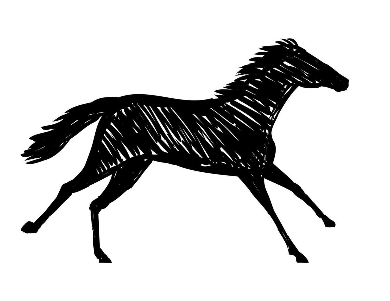 Horse or Stallion Racing Running Galloping Drawing vector