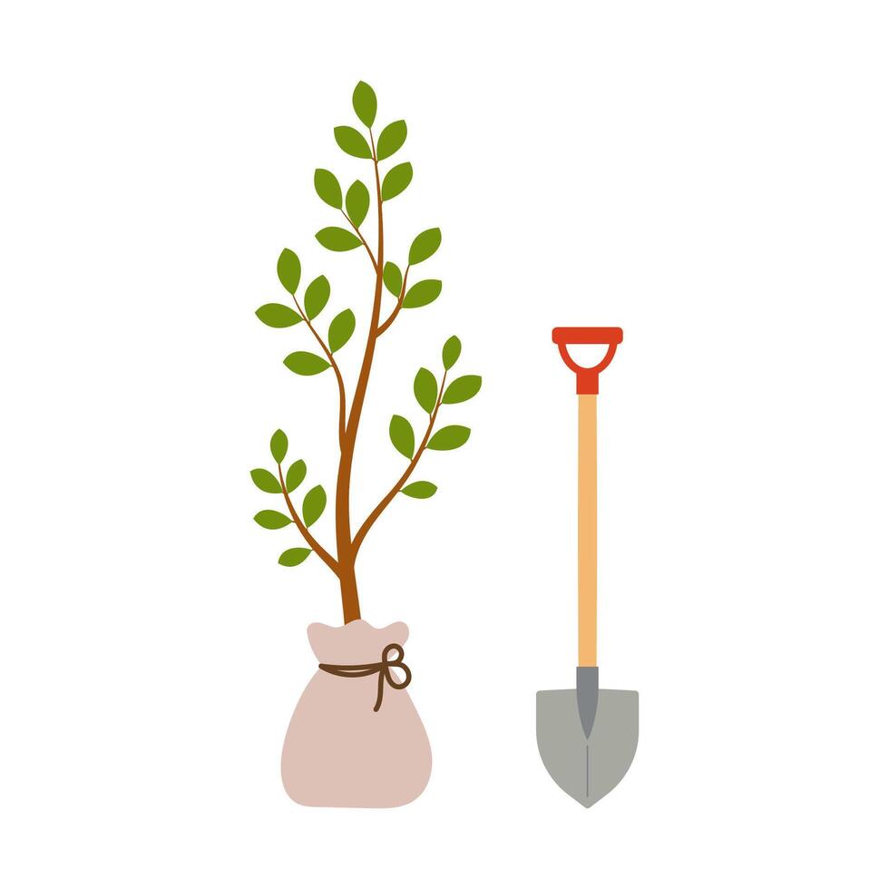 Tree sapling with closed roots and leaves on branch and shovel nearby. illustration vector