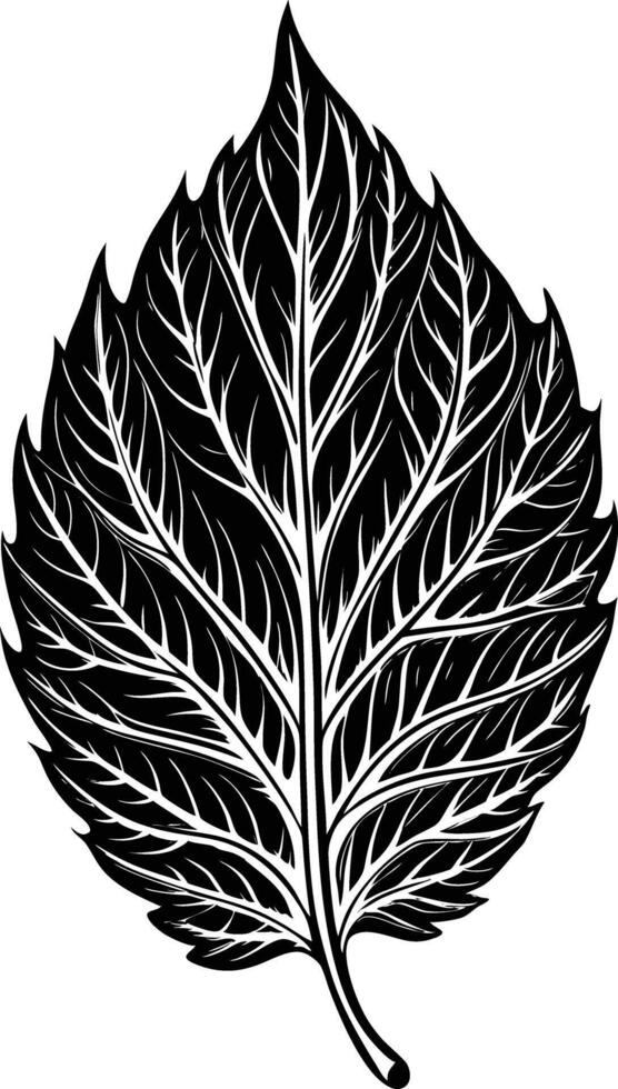 A Silhouette leaf vector