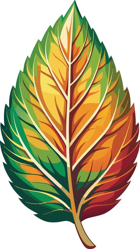 Green ripe leaf vector