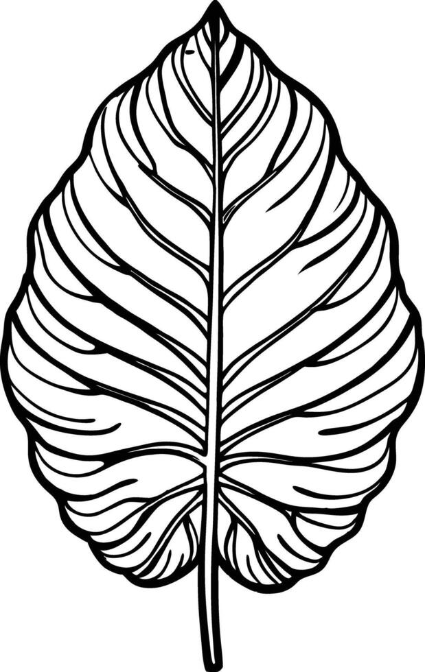 Line drawing leaf vector