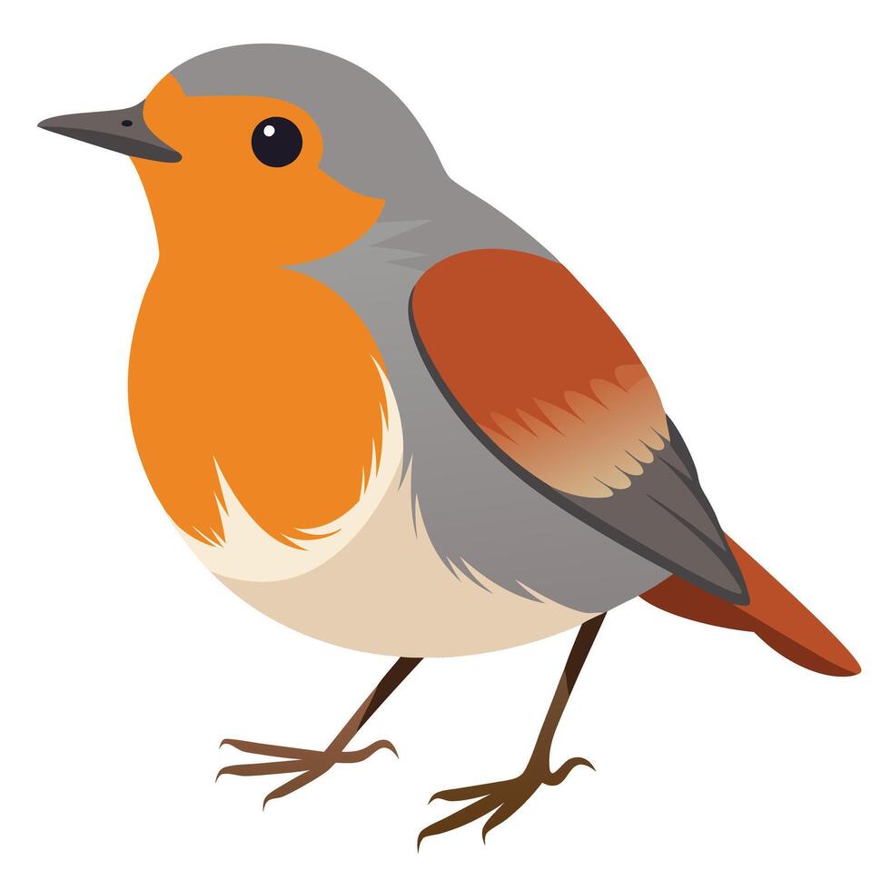 cute robin art vector