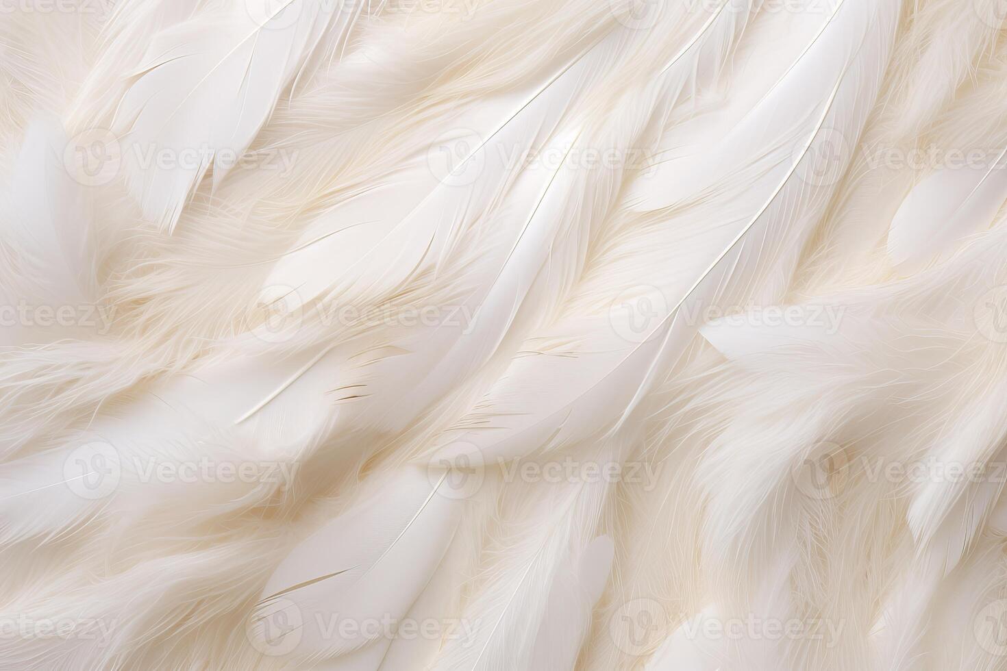 Soft white feather texture background photo