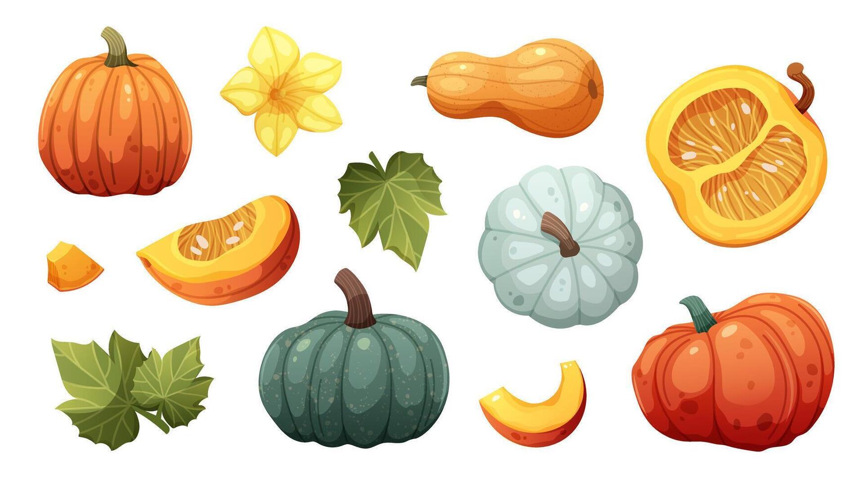Pumpkin Set. Whole pumpkins, piece, leaves, seeds. elements on white background vector