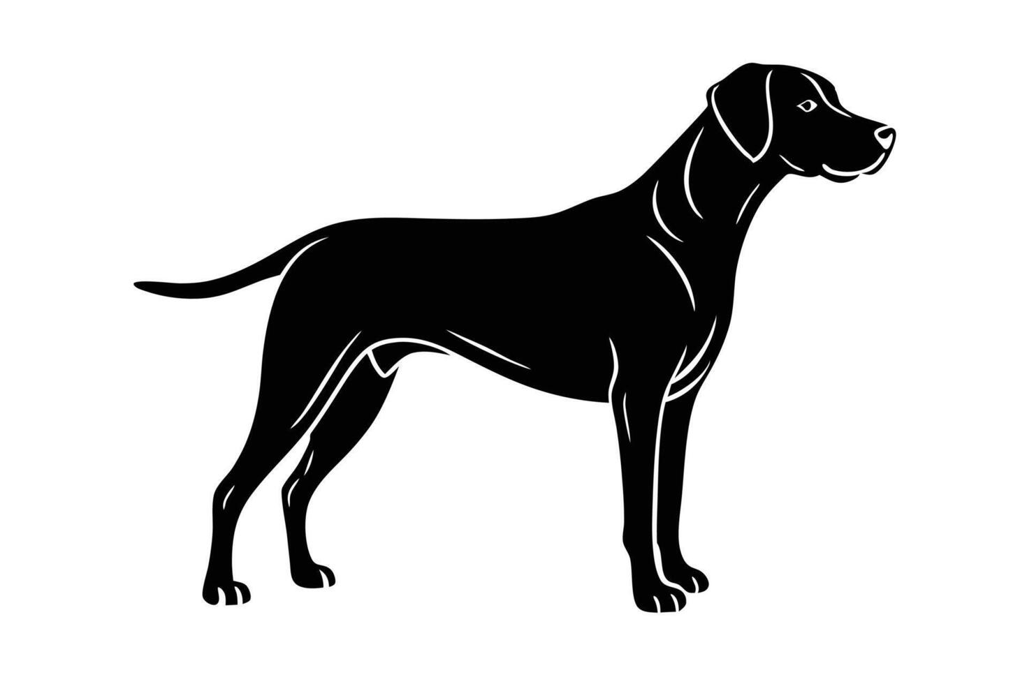 Hunting Dogs Illustration Clipart Design vector