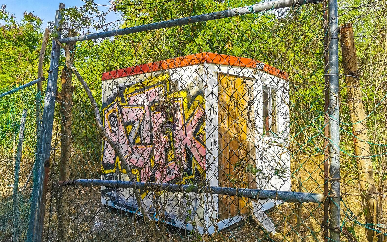 Playa del Carmen Quintana Roo Mexico 2023 Artistic walls with paintings and graffiti Playa del Carmen Mexico. photo