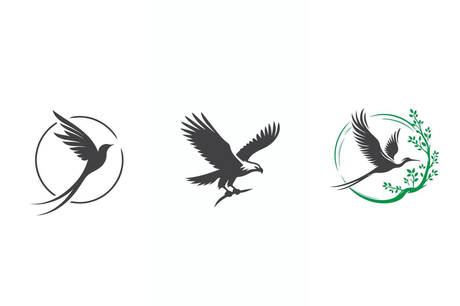 bird illustration image vector