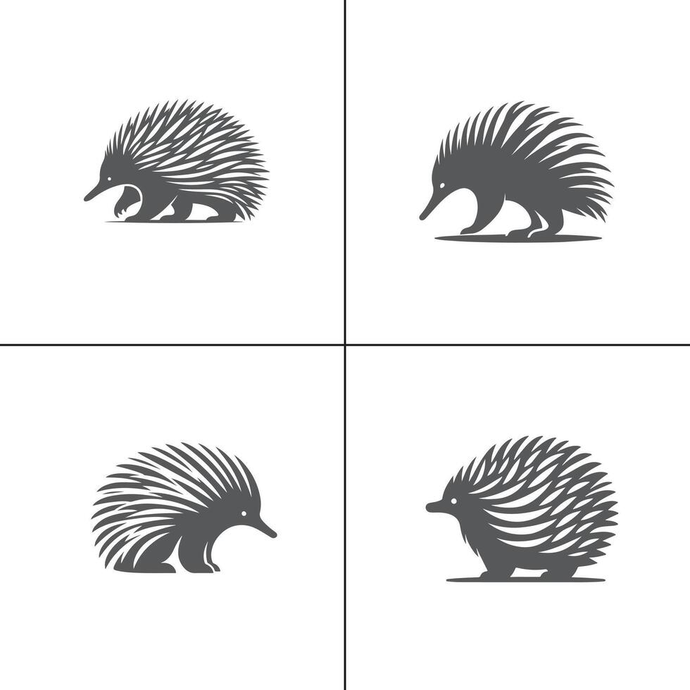 illustration of a Echidna on white vector