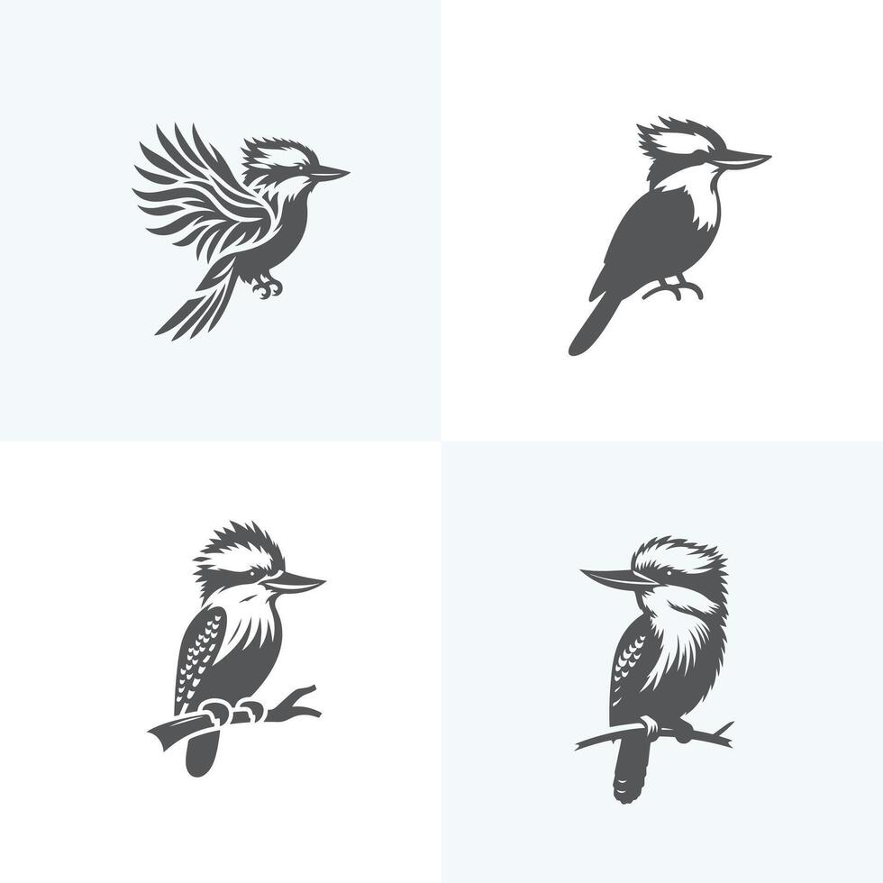 set of Kookaburra birds vector