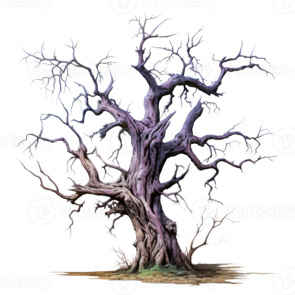 An Ancient, Twisted Tree with Eyes in Its Bark png