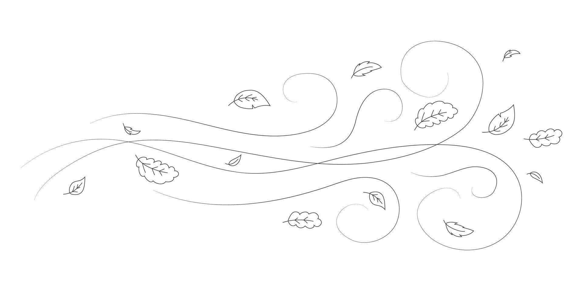 Doodle autumn leaves flying in the wind. Falling season outline backdrop, air flow leaves wave linear pattern or wind blowing doodle print. Autumn windy weather hand drawn monochrome background vector