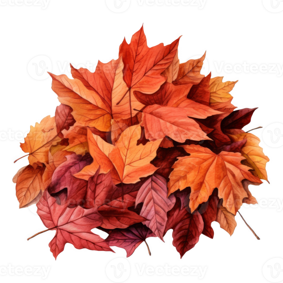 Watercolor Illustration of a Pile of Autumn Leaves png