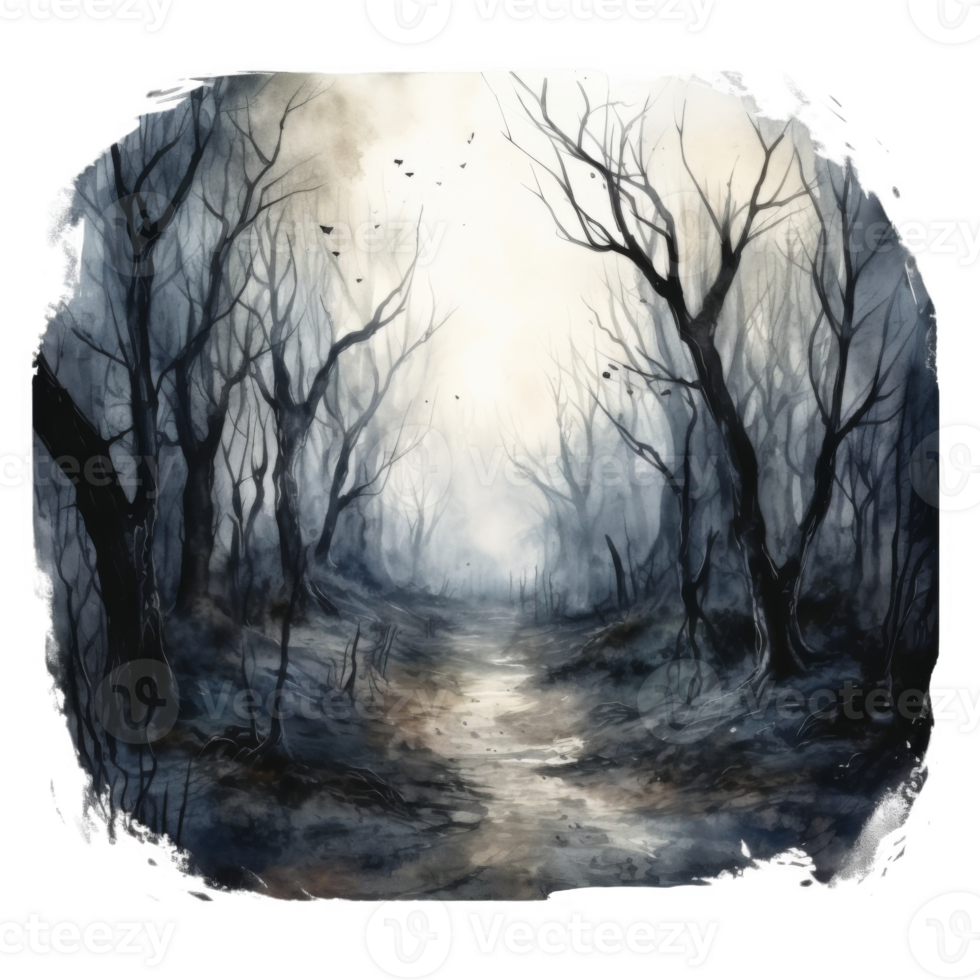 A misty path through a dark and eerie forest png