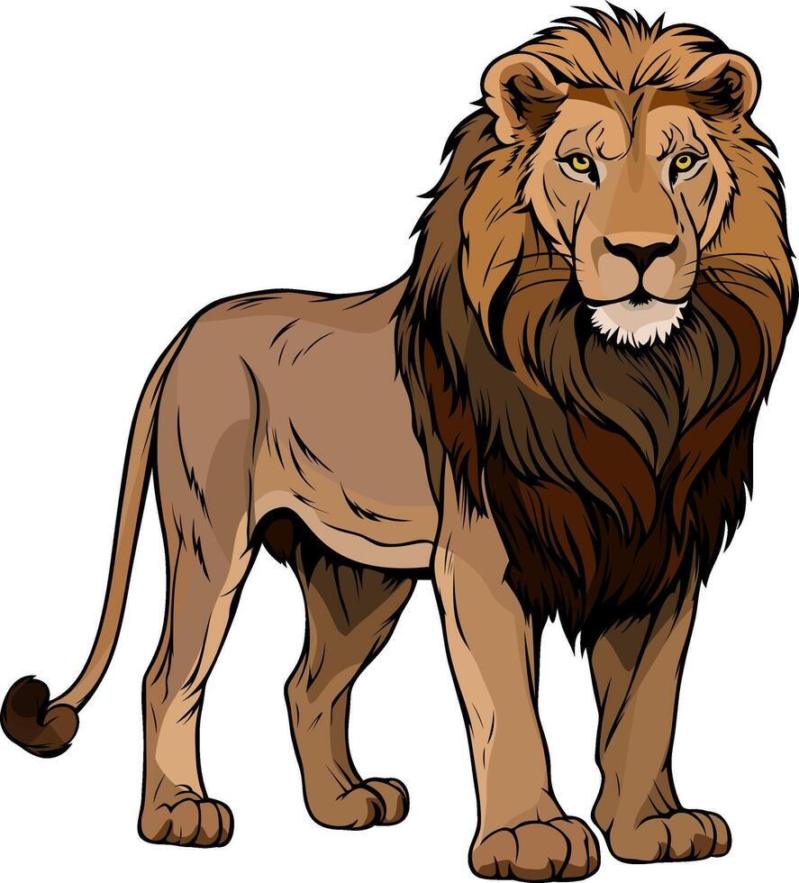 lion colored wild animal illustration vector