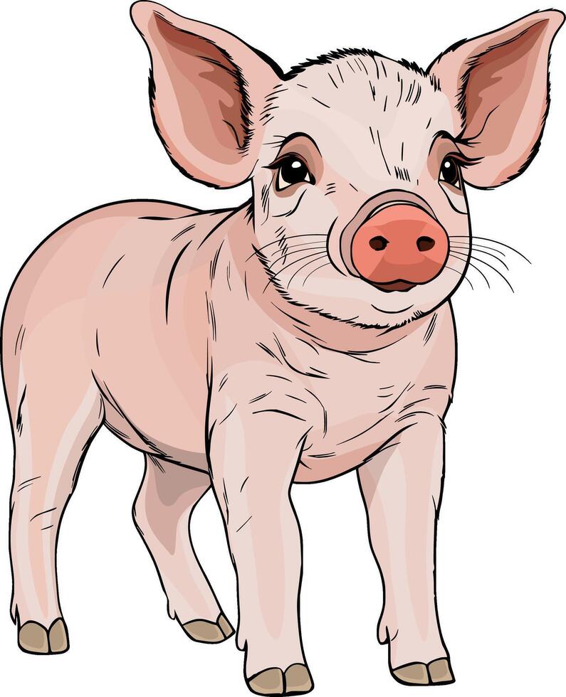 pig colored wild animal illustration vector